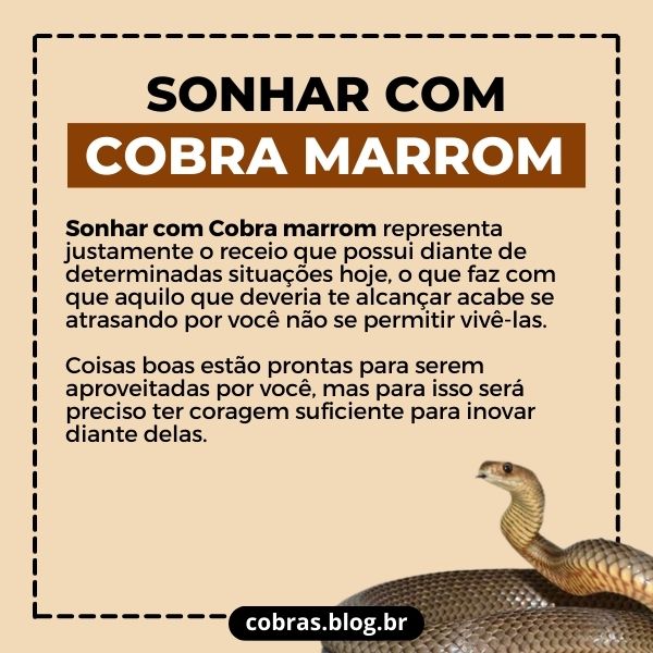 Sonhar com Cobra Preta: O que significa?